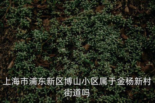 上海市浦東新區博山小區屬于金楊新村街道嗎