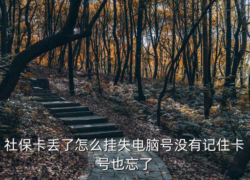 社保卡丟了怎么掛失電腦號沒有記住卡號也忘了
