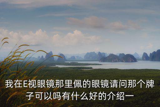 我在E視眼鏡那里佩的眼鏡請問那個牌子可以嗎有什么好的介紹一