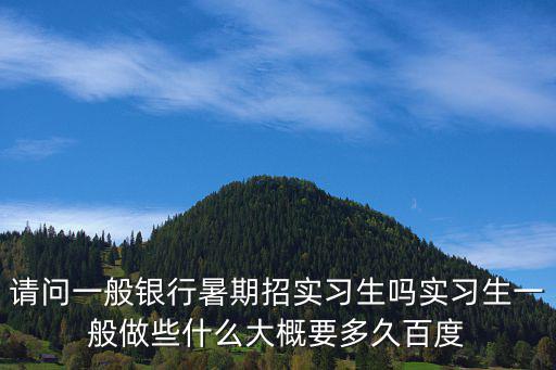 暑期實習生，請問一般銀行暑期招實習生嗎實習生一般做些什么大概要多久百度