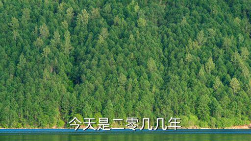 今天是二零幾幾年
