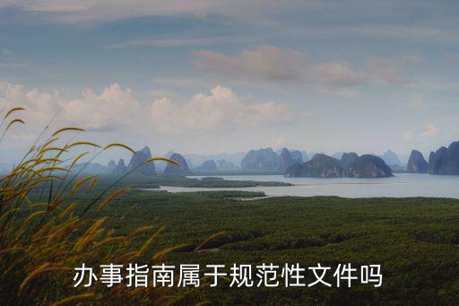 辦事指南屬于規范性文件嗎