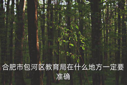 合肥市包河區教育局在什么地方一定要準確