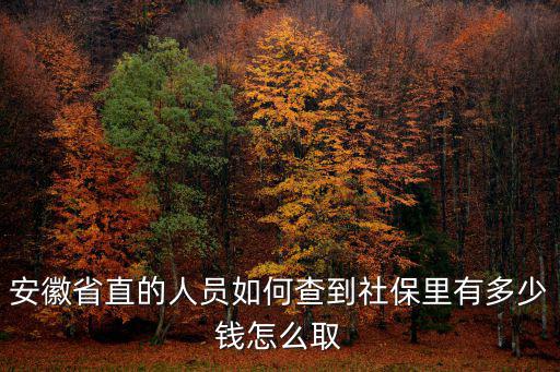 安徽省直的人員如何查到社保里有多少錢怎么取