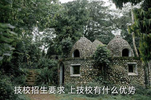 技校招生要求 上技校有什么優勢