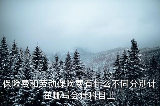 保險費和勞動保險費有什么不同分別計在哪寫會計科目上