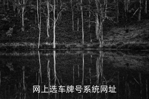 車牌號碼自選網，網上選車牌號系統網址