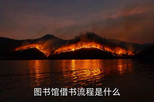圖書館借書流程，圖書館借還書流程有哪些