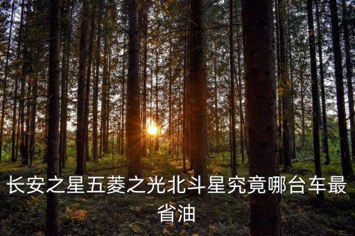 長安之星五菱之光北斗星究竟哪臺車最省油