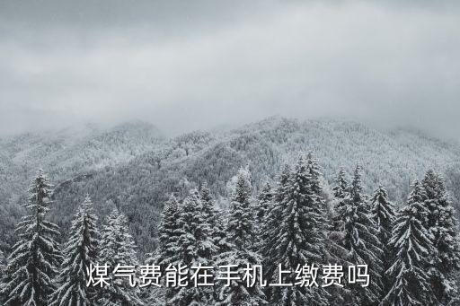 煤氣費能在手機上繳費嗎