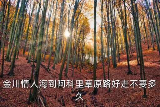 金川情人海到阿科里草原路好走不要多久