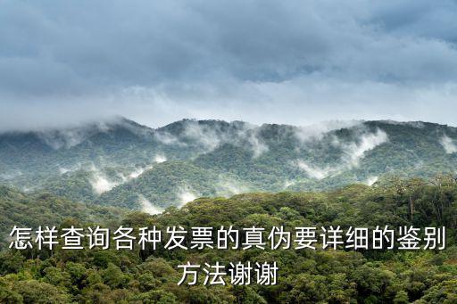 發票查詢真偽查詢系統，怎么查發票真偽