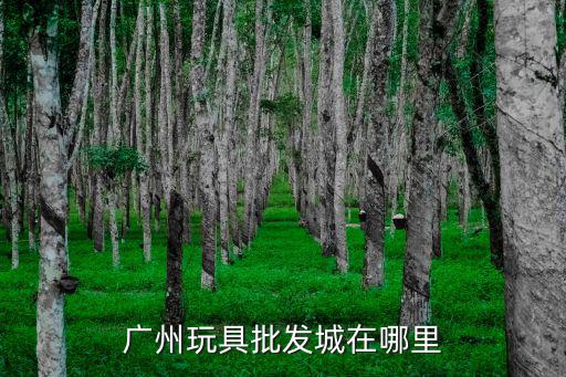 廣州玩具批發(fā)市場(chǎng)，廣州哪里便宜玩具批發(fā)