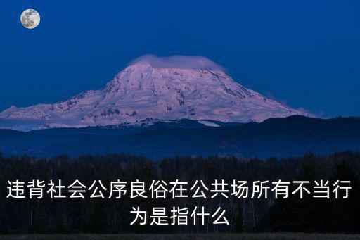 違背社會(huì)公序良俗在公共場(chǎng)所有不當(dāng)行為是指什么
