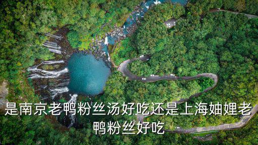 是南京老鴨粉絲湯好吃還是上海妯娌老鴨粉絲好吃