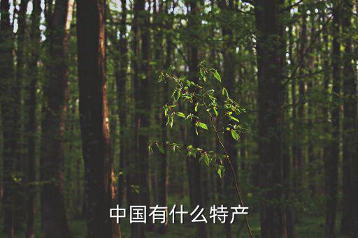 中國(guó)有什么特產(chǎn)