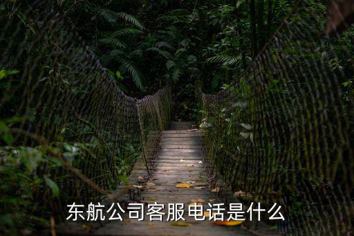 東航公司客服電話是什么