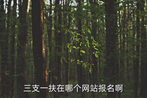 三支一扶在哪個網站報名啊