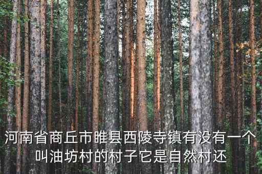 河南省商丘市睢縣西陵寺鎮有沒有一個叫油坊村的村子它是自然村還