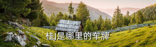桂J是哪里的車牌