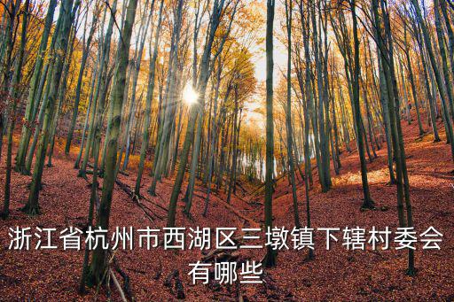 三墩鎮(zhèn)，三墩鎮(zhèn)是屬于杭州哪個(gè)區(qū)