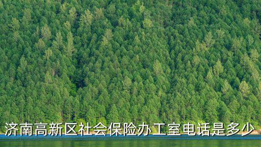 高新社保，蘇州高新區社保中心地址在哪里啊