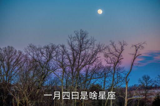 一月四曰是啥星座