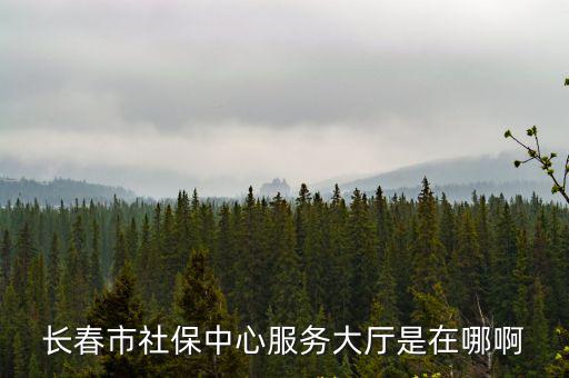長春市社保中心服務大廳是在哪啊