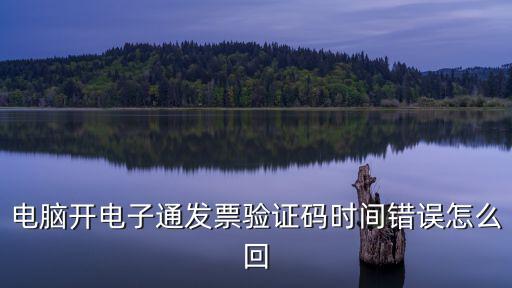 電腦開電子通發票驗證碼時間錯誤怎么回
