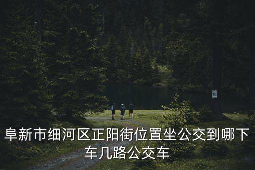 正陽街，最近幾天正陽街裝潢市場出什么事了怎么一堆警察