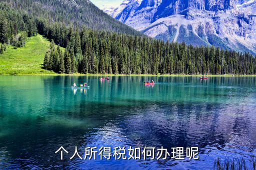 個(gè)人所得稅如何辦理呢