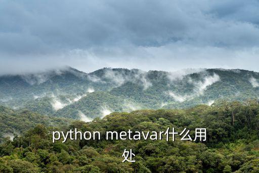 python metavar什么用處