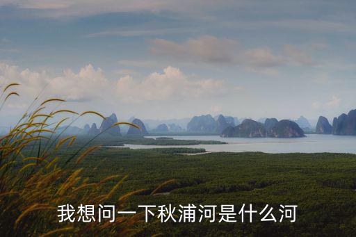 我想問(wèn)一下秋浦河是什么河