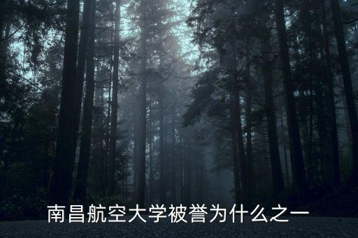 南昌航空大學被譽為什么之一