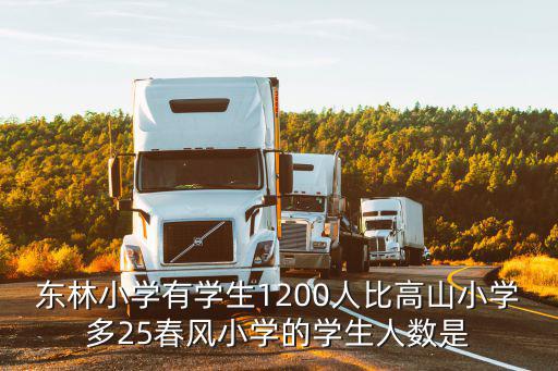 東林小學，東林小學有學生1200人比高山小學多25春風小學的學生人數是