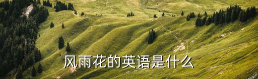 風雨花的英語是什么