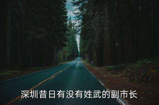 深圳昔日有沒有姓武的副市長