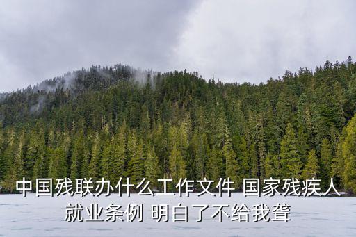 中國殘聯辦什么工作文件 國家殘疾人就業條例 明白了不給我聾