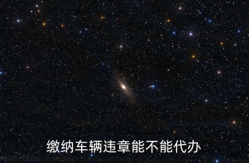 繳納車輛違章能不能代辦