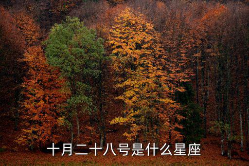 十月二十八號是什么星座