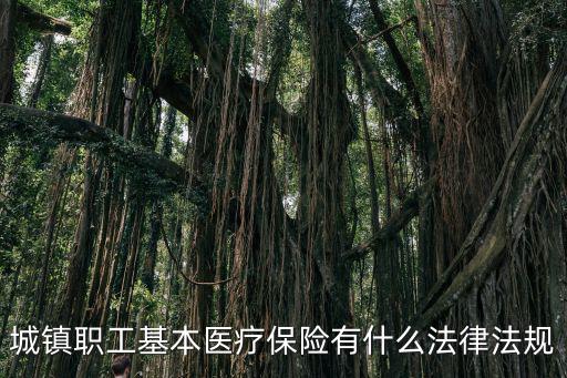 醫(yī)療保險條例，關于醫(yī)療保險的法律法規(guī)有哪些