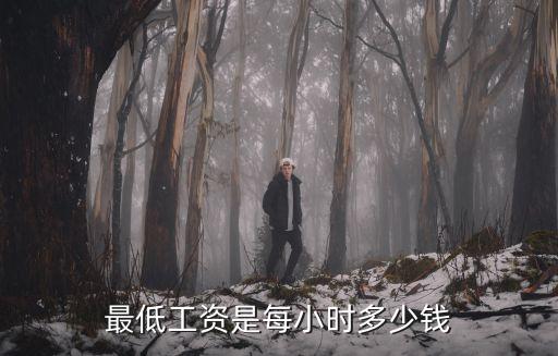 最低時薪，佛山市最低時薪多少