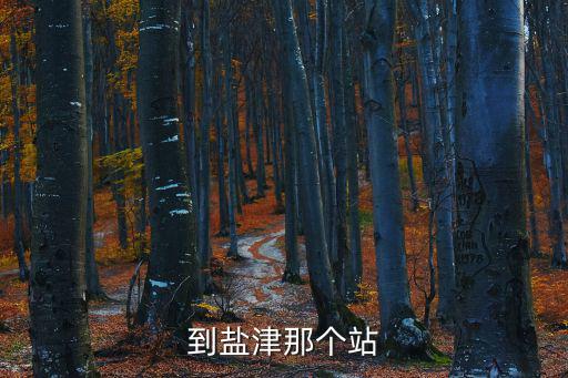 到鹽津那個站