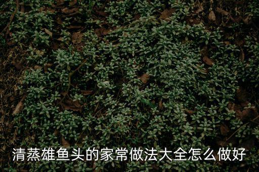 清蒸雄魚頭的家常做法大全怎么做好