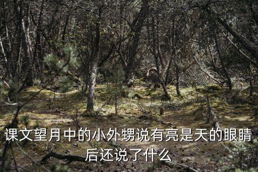 課文望月中的小外甥說有亮是天的眼睛后還說了什么