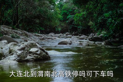 g1929，大連北到渭南北高鐵停嗎可下車嗎