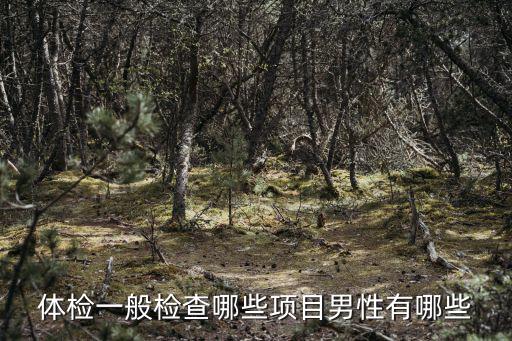 體檢一般檢查哪些項(xiàng)目男性有哪些