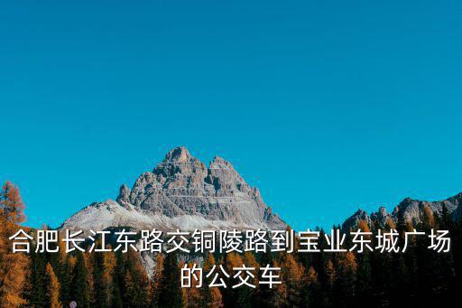 合肥長江東路交銅陵路到寶業(yè)東城廣場的公交車
