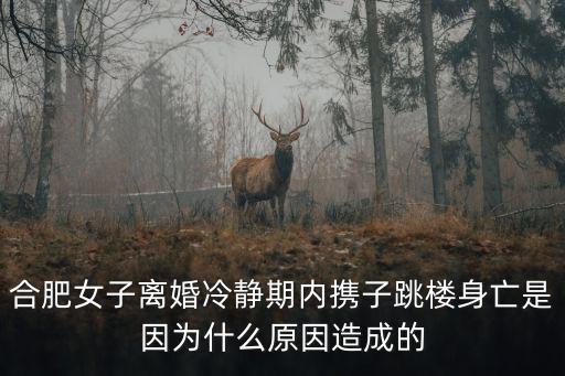 合肥女子離婚冷靜期內攜子跳樓身亡是因為什么原因造成的
