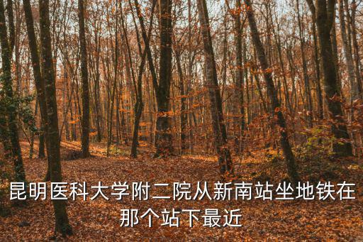 昆醫第二附屬醫院，昆明醫科大學附二院從新南站坐地鐵在那個站下最近